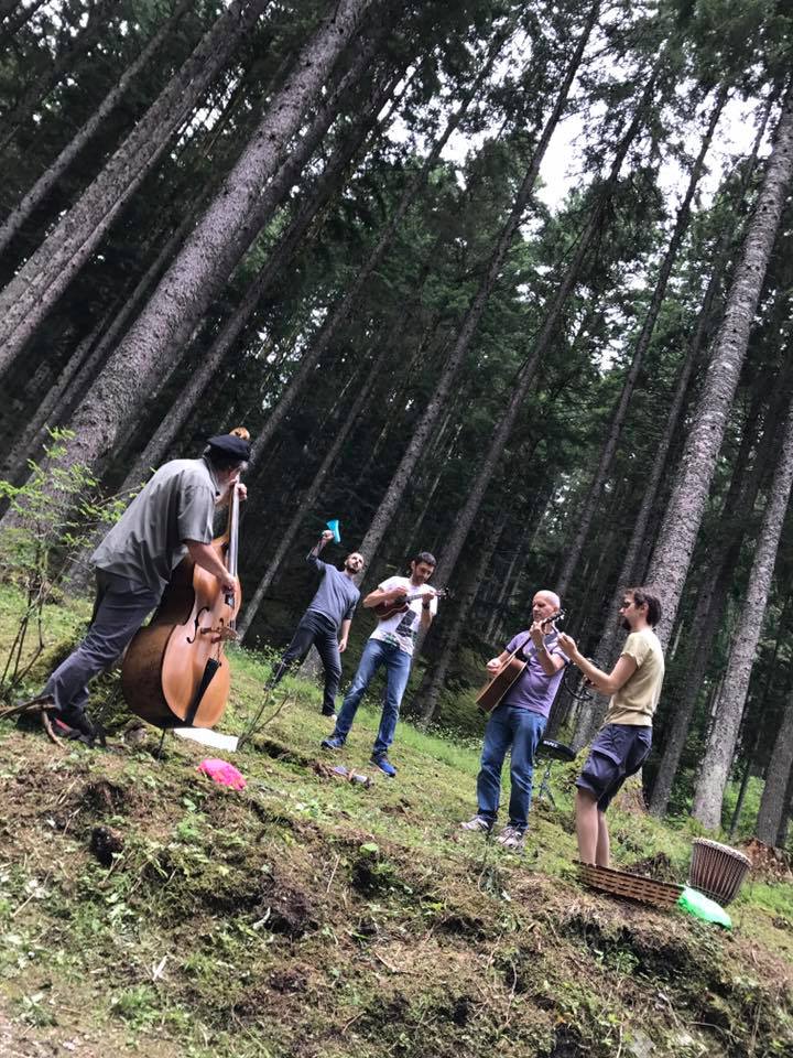Nel bosco